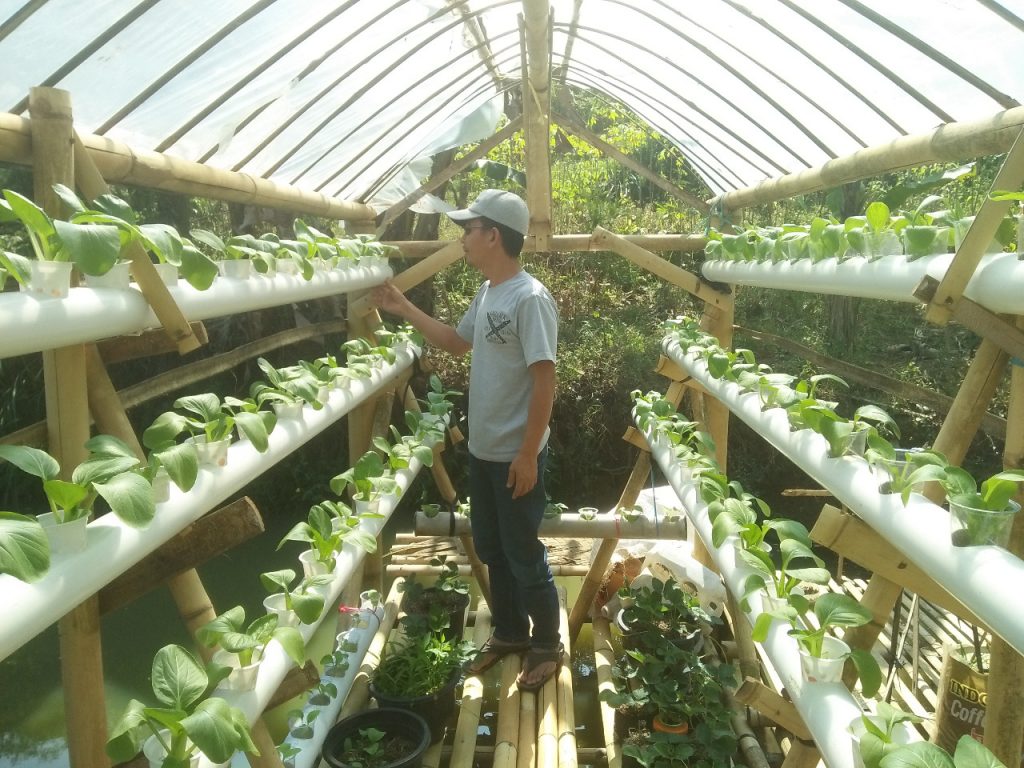 lumbung desa, hidroponik, ciwangi, garut