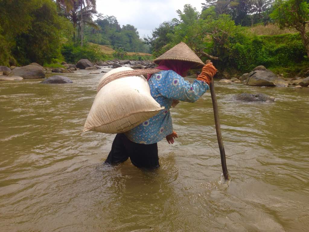 lumbung desa, petani, jembatan, pesawahan