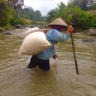 lumbung desa, petani, jembatan, pesawahan