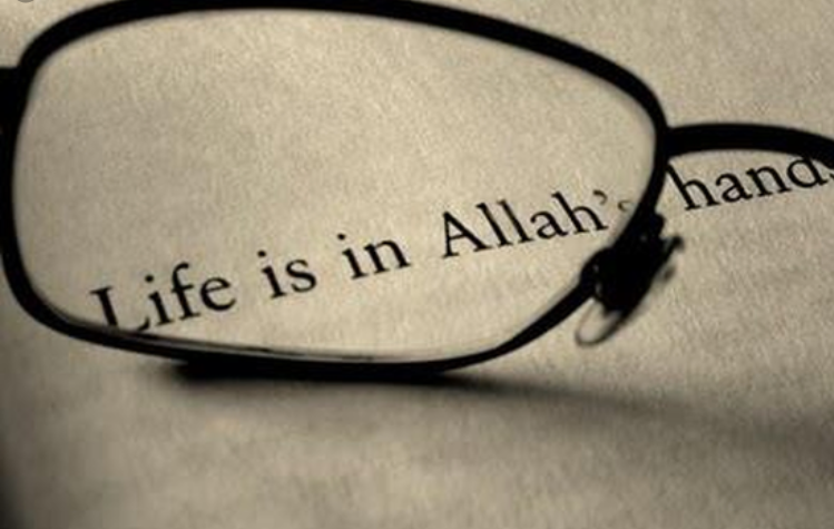 takdir, mutiara hikmah, takdir, mengubah takdir, inspiring quran, hikmah