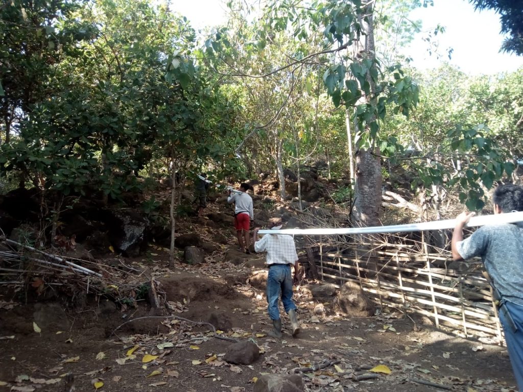 lombok, let's help lombok, gempa bumi, bencana alam, pipanisasi