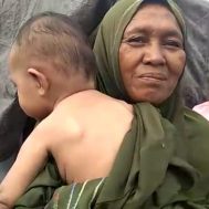 gempa bumi, palu, donggala, bencana alam