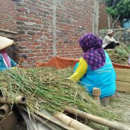 pupuk, organik, lumbung, desa, ciwangi