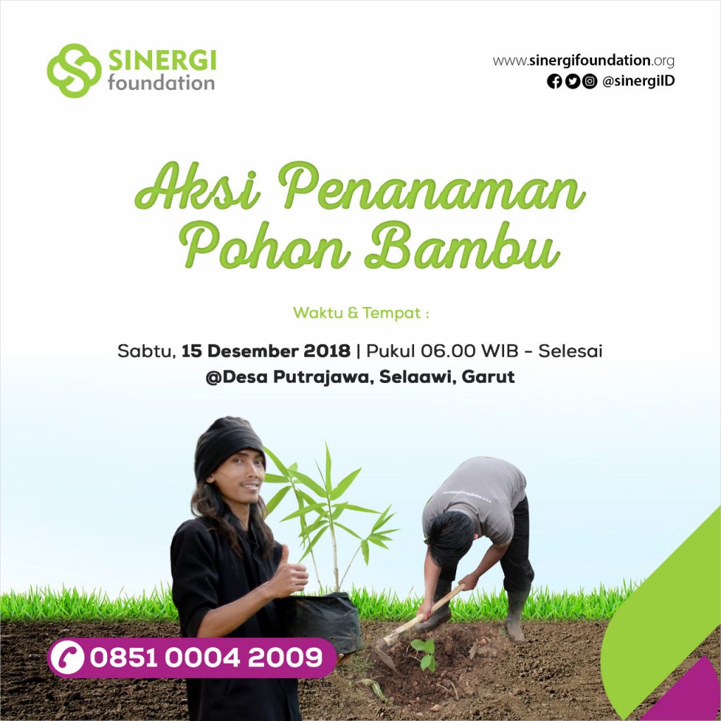 bambu, penanaman pohon, selaawi, penghijauan, green kurban, green akikah