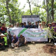 bambu, lumbung desa, selaawi, pohon, penanaman pohon