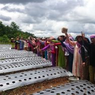 petani, pertanian, zakat, desa, lumbung desa, potensi alam, cigalontang, sinergi foundation, sinergi zakat, pertanian