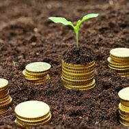 ikrar wakaf, wakaf, investasi, wakaf, ekonomi negara, zakat, sinergi wakaf, pajak, ustadz budi ashari