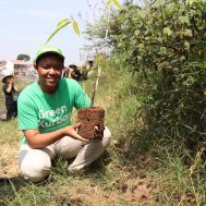 krisis iklim, pohon, green kurban, aksi penanaman pohon, green kurban, penghijauan, DAS Cimanuk