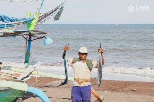 fish bank, apartemen ikan, nelayan, sinergi foundation, pantai bomo, banyuwangi