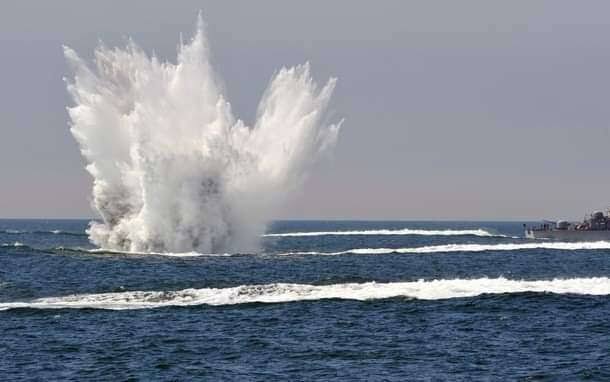 fish bank, terumbu karang