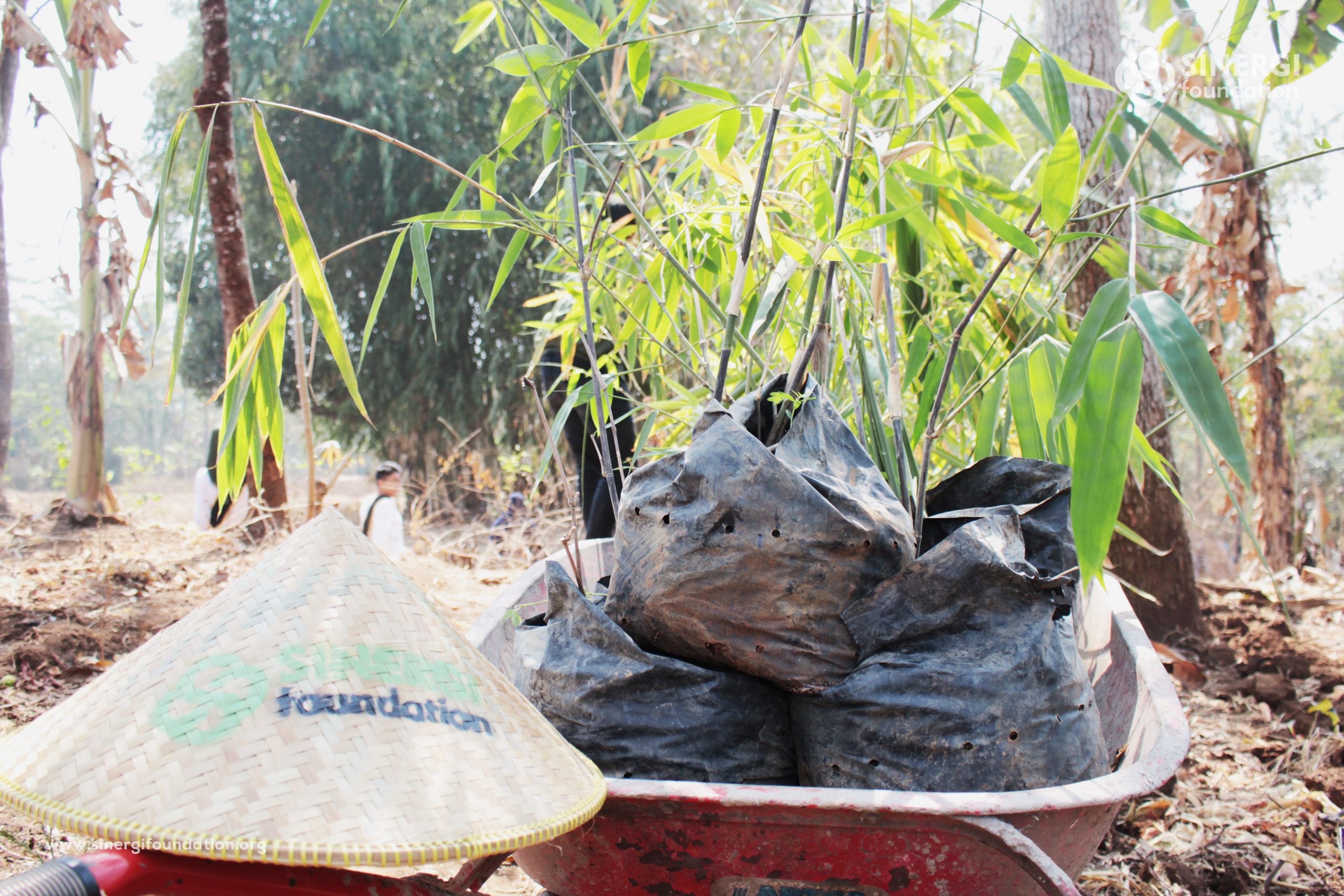 bambu, lumbung desa, selaawi