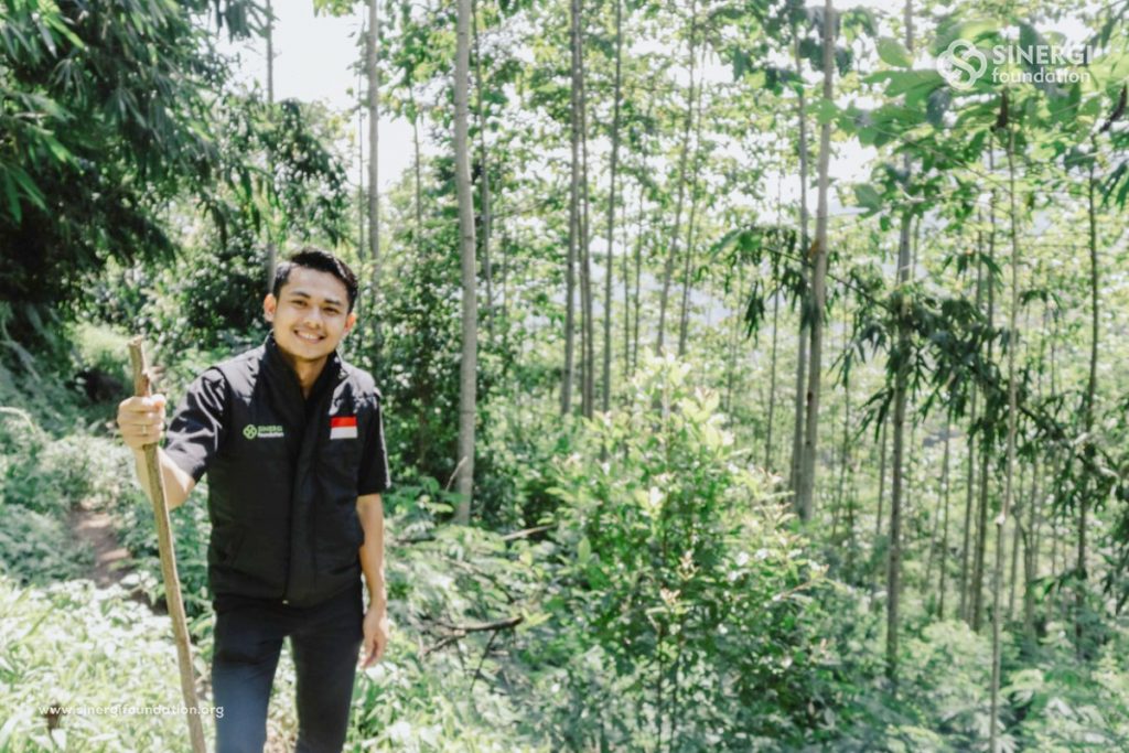 green kurban, jabon