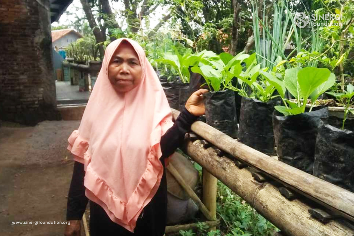 lumbung desa, pemberdayaan, ciwangi, tanaman pekarangan