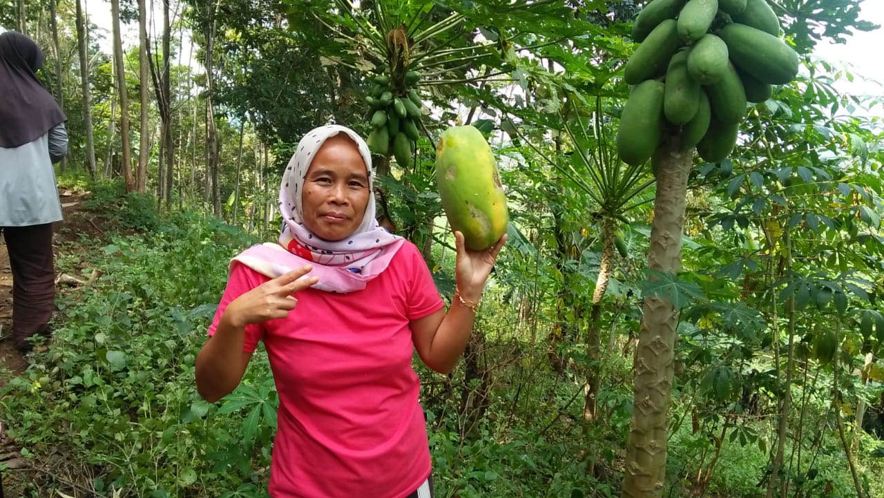 lumbung desa, petani, pemberdayaan