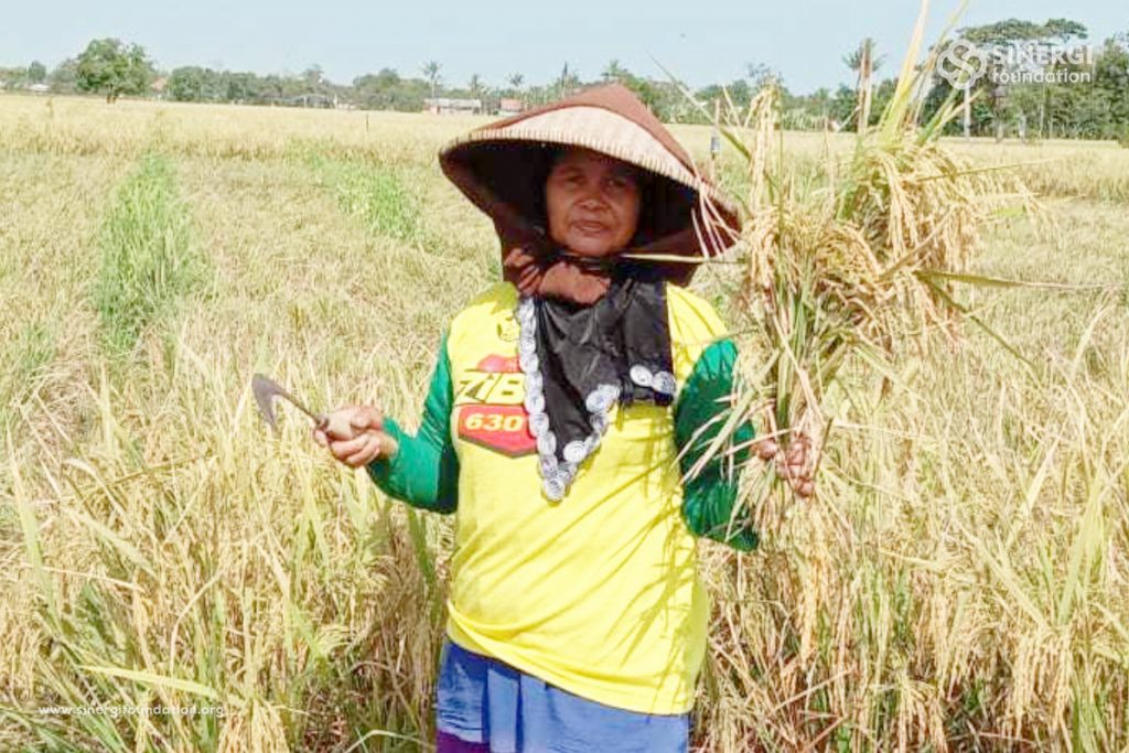 compreng, zakat, sinergi zakat