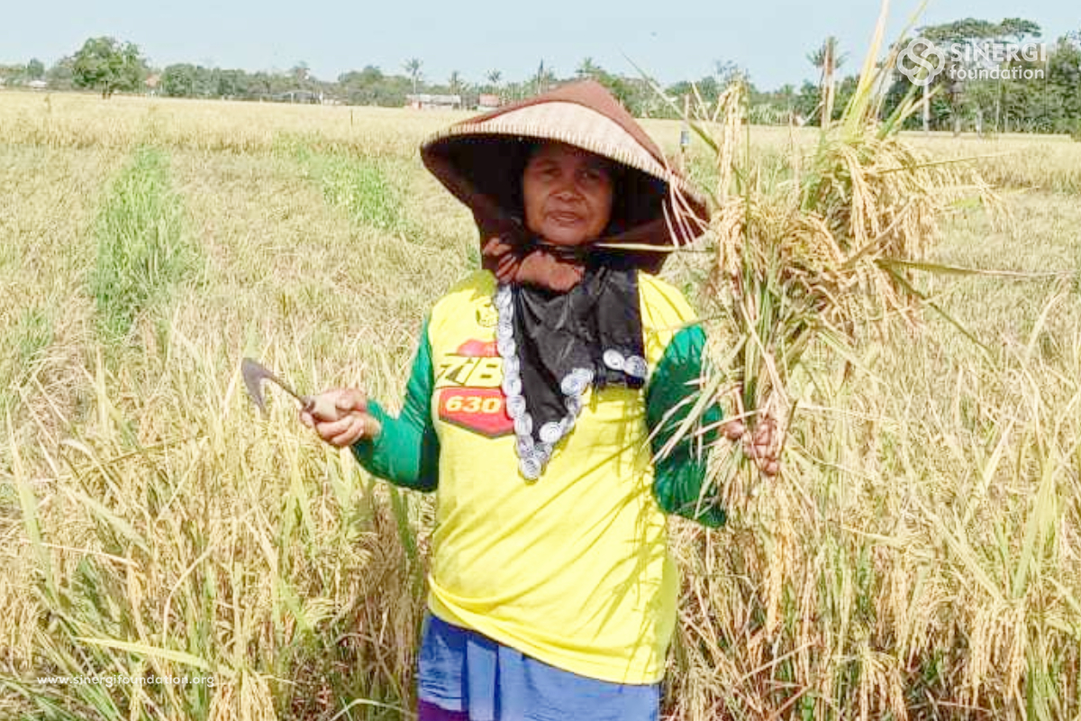 compreng, zakat, sinergi zakat