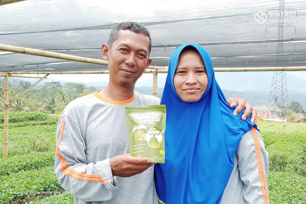 petani, impact entrepreneur