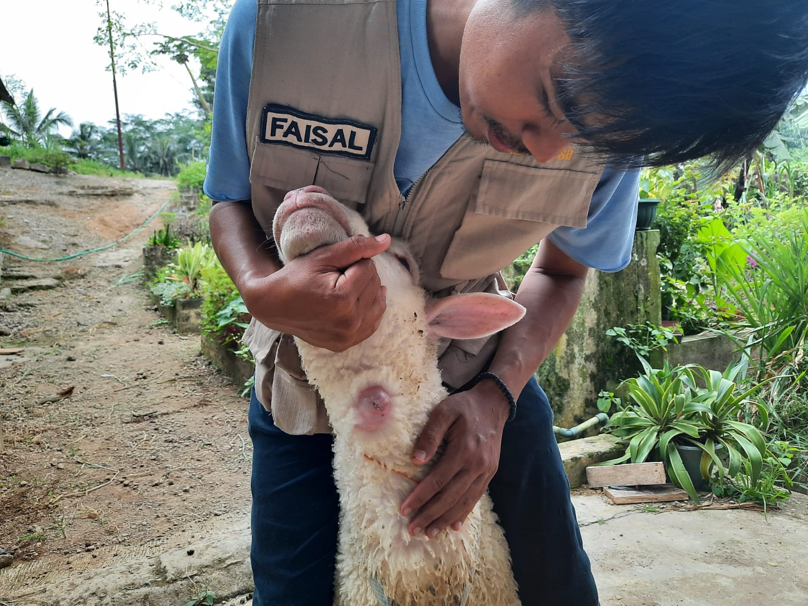 kurban, green kurban, kurban 2023, idul adha