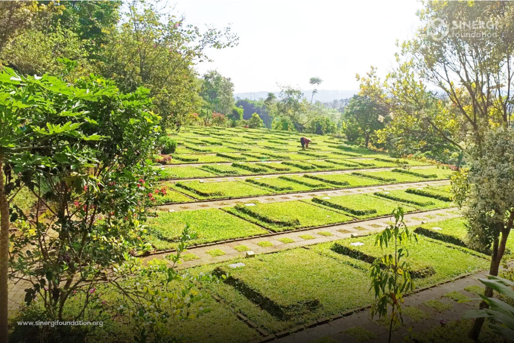 wakaf pemakaman di indonesia, wakaf pemakaman, wakaf tanah, wakaf