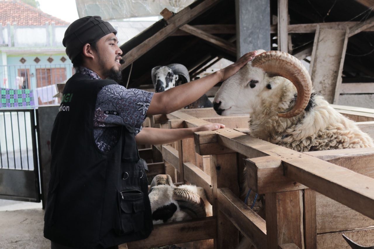 Mitra Peternak: Senang Domba di Sini Bisa Bantu Hingga Pelosok untukProgram Green Kurban
